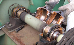 排気ファン軸受点検